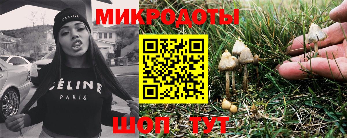Псилоцибиновые грибы GOLDEN TEACHER  Вход с VPN  Тихвин 
