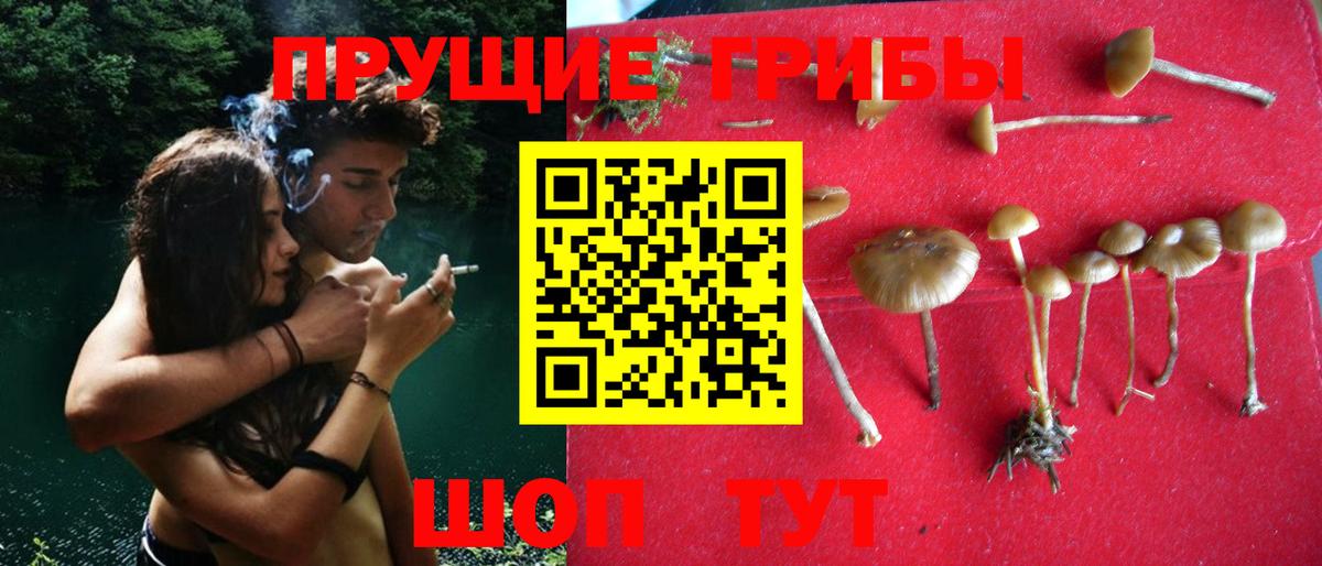 Галлюциногенные грибы GOLDEN TEACHER Тихвин